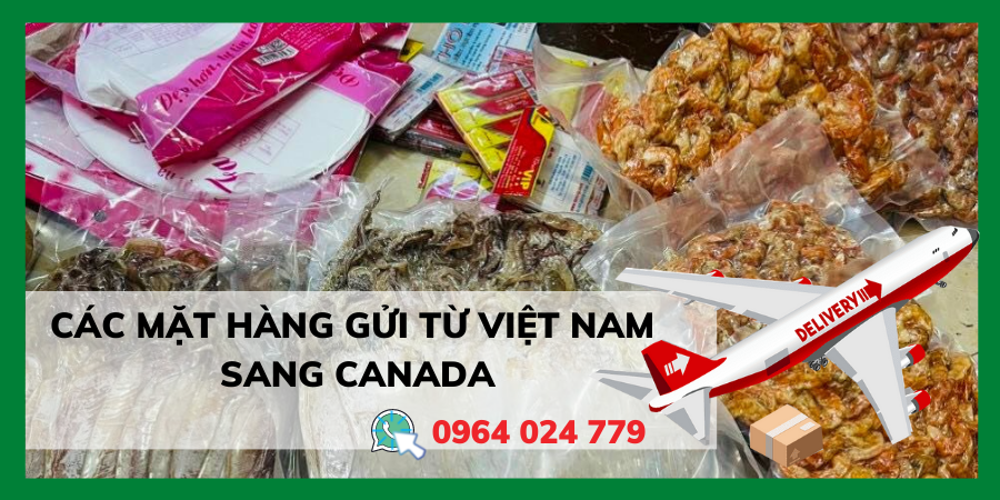 Các mặt hàng Sáng Tạo Express nhận gửi hàng từ Việt Nam sang Canada