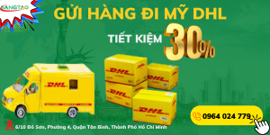 Read more about the article GỬI HÀNG ĐI MỸ DHL – AN TOÀN – TIẾT KIỆM CHI PHÍ 30%