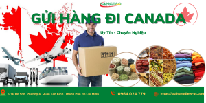 Read more about the article GỬI HÀNG TỪ VIỆT NAM SANG CANADA – TIẾT KIỆM 40%