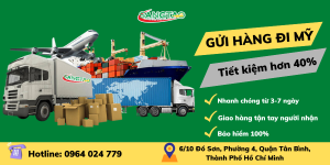 Read more about the article GỬI HÀNG ĐI MỸ TẠI QUẬN BÌNH THẠNH – TIẾT KIỆM 40%