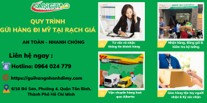 Read more about the article GỬI HÀNG ĐI MỸ TẠI RẠCH GIÁ – AN TOÀN – TIẾT KIỆM 40%