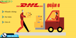 DHL quận 6